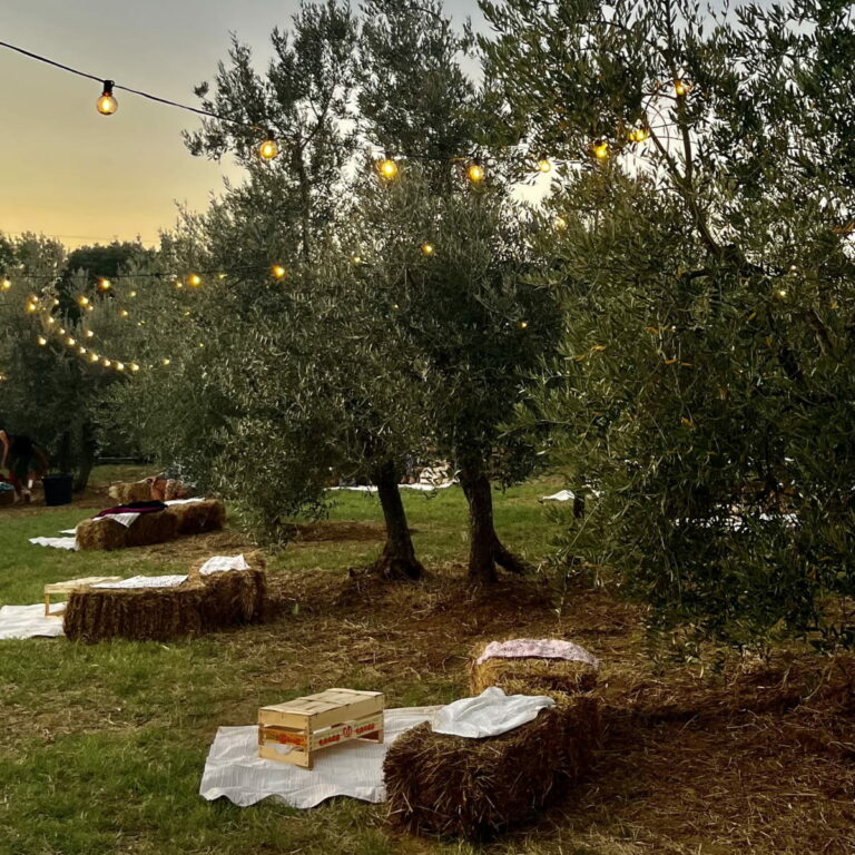 Evo in Wonderland - La magia di una apericena in oliveta