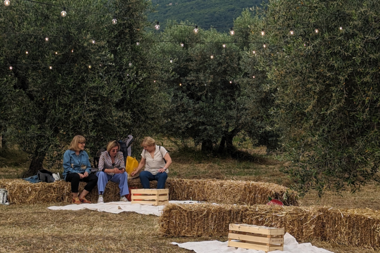 Evo in Wonderland - Evo Experience in tuscan olive grove Dinner in olive grove